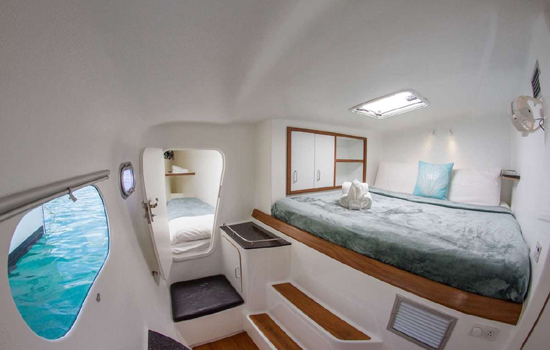 Luxurious cabins