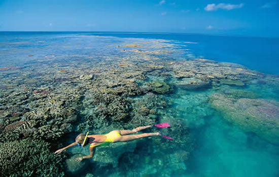 An island paradise, perfect to snorkle