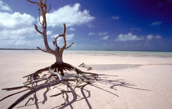 Eleuthera's pink  beaches