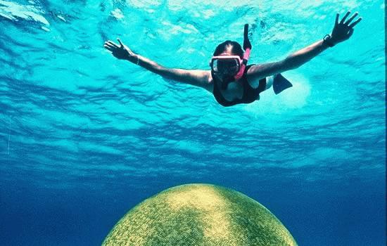 Belize's unspoiled underwater beauty