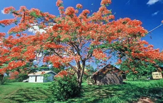 Belize's diverse and peaceful countryside