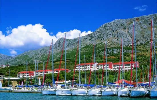 Boats  awaiting their charterers.