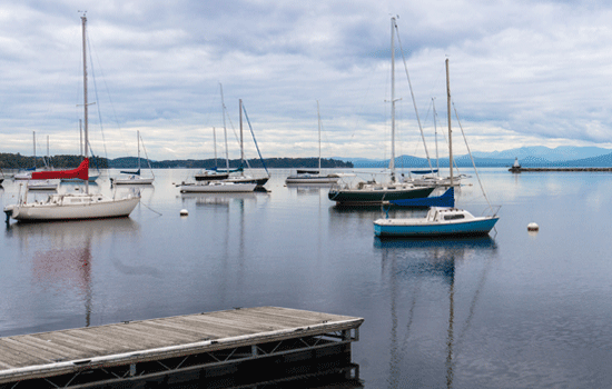 Boats in the harbour