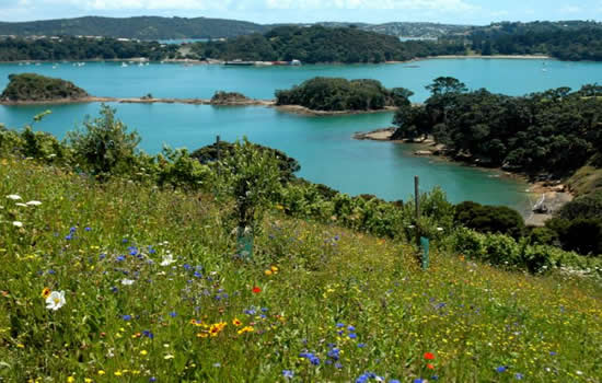 Otehie Bay