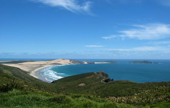 Whangamumu Harbour