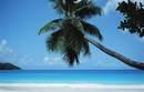 Yacht charter in Saint Vincent and the Grenadines, Boat rental in the Caribbean