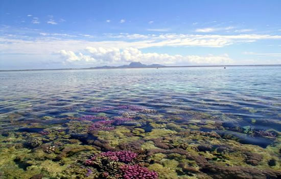 Bora Bora reef