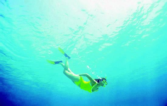 Snorkeling the turquoise waters of the BVI's