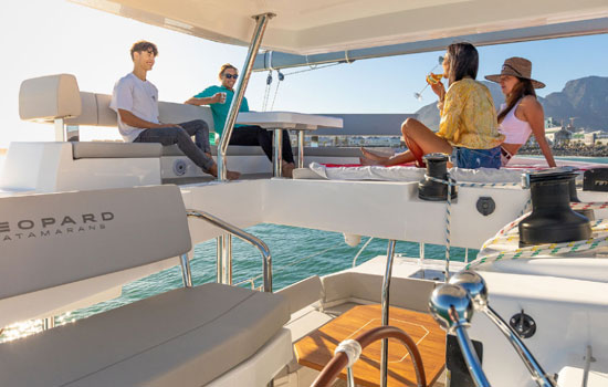Flybridge of the Leopard 45